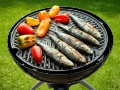 Cadac Grillo Chef 2 Combo Barbecue Au Gaz -Équipement De Camping cadac grillo chef 40 combo gasbarbecue 2 ecommerce