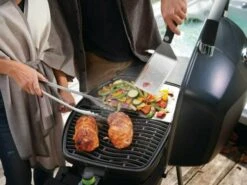 Napoleon TravelQ PRO285 Barbecue électrique -Équipement De Camping napoleon travelq pro285 elektrische bbq afb7 ecommerce