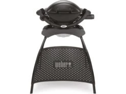 Weber Q 1000 Stand Barbecue à Gaz